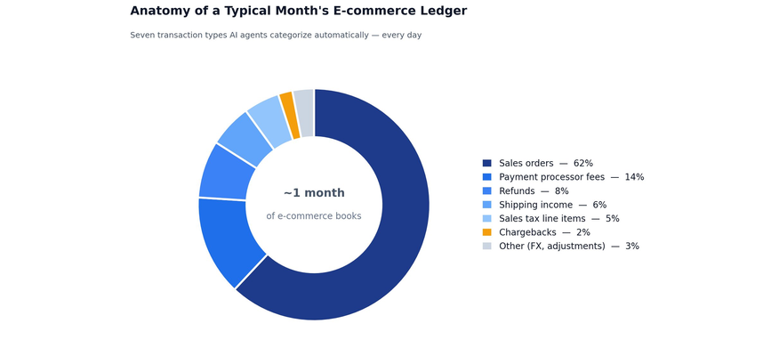 AI financial agent categorizing monthly e-commerce transactions by type
